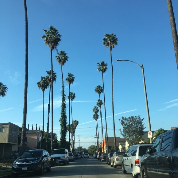 Meet your Posher, T - Picture 1 of 1